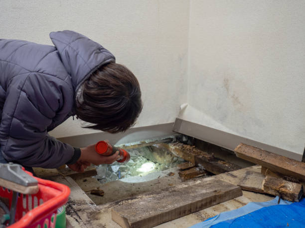 Best Commercial Mold Inspection  in La Center, WA