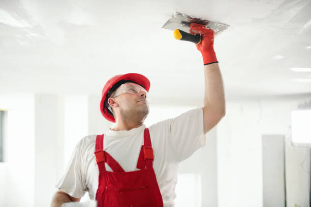 Best Mold-Related Health Consultation  in La Center, WA