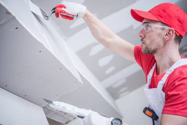 Best Attic Mold Removal  in La Center, WA